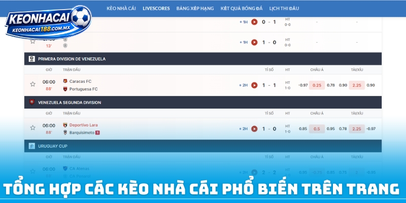 Tổng hợp các kèo nhà cái phổ biến trên trang 
